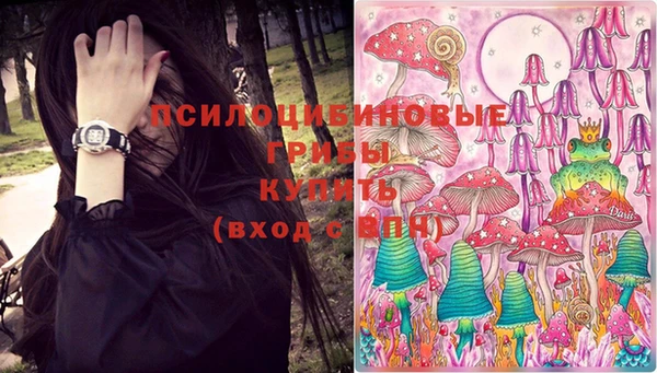 индика Нязепетровск
