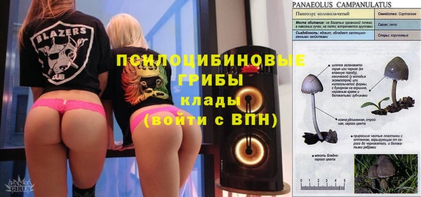 ALPHA PVP Армянск